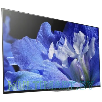 Телевизор Sony KD-65AF8BR2